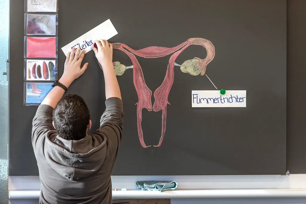 التثقيف الجنسي في المدارس